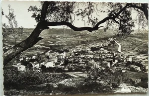 LA COLLE SUR LOUP 06 cpa vue à travers les Oliviers 1954 - Picture 1 of 2
