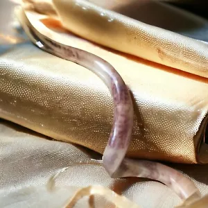 Corno Shofar Kudu Yemenita Kosher Judaica Completamente Lucidato Israele XXXL 45-48" +Regalo - Foto 1 di 11