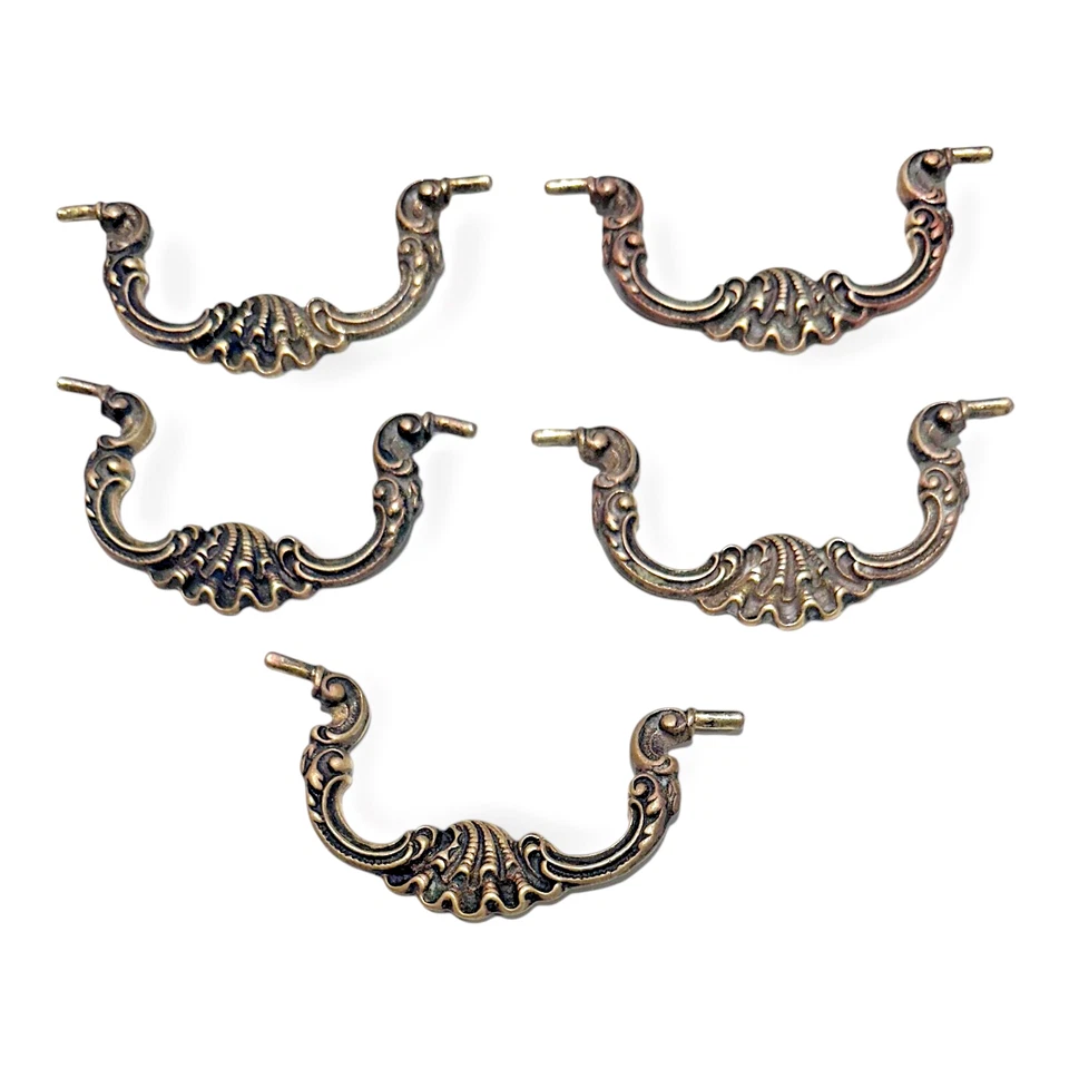 Antiguo cajón de fianza barroco victoriano Keeler Brass Co tirar almeja SeaShell 4" Foto 1 de 4