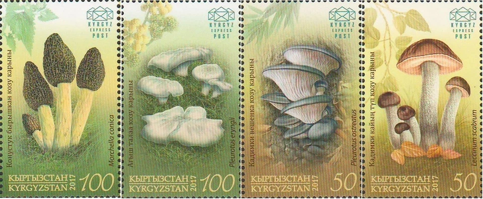 2017 Kyrgyzstan Edible Mushrooms of Kyrgyzstan MNH - Image 1 of 1