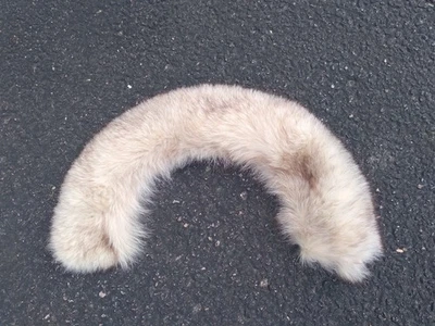 Vintage Natural Fur Collar Small Medium Scarf Mink? White with Brown Tips - Image 1 of 4