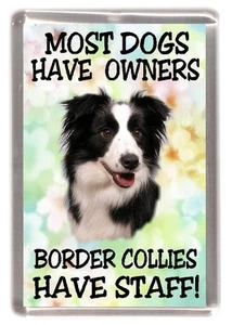 Border Collie Dog Fridge Magnet "Border Collies Have Staff!" by Starprint - Picture 1 of 1