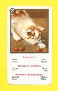 Deutsche Karte - Haustiere - Katze - Bild 1 von 1