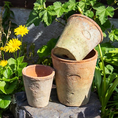 DARTHOME Set Of 3 Aged Terracotta Plant Pots Round Flower Garden Outdoor Planters Decor
