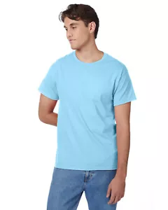 Hanes Men's Short Sleeve T Shirt Crew Neck Authentic-T Stylish Top T-Shirt 5250T - Picture 1 of 45