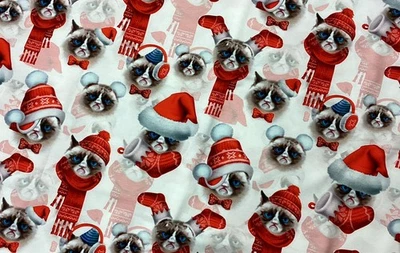 50 cm Sommersweat XMAS Katzen mit Mütze und Schall In XL Überbreite 180cm - Bild 1 von 4