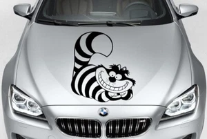 Alice In Wonderland Cheshire Cat Vinyl Decal Graphic Car Truck Hood Side USA - Picture 1 of 1