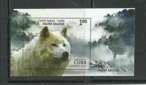 CARIBE. Año: 2019. Tema: FAUNA SALVAJE - Imagen 1 de 1