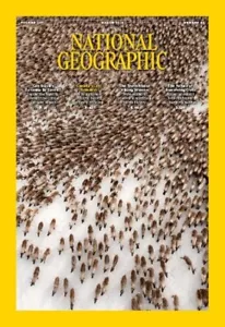 National Geographic March 2025 Canada’s Last Reindeer, Brazil’s Savanna & More b - Foto 1 di 7