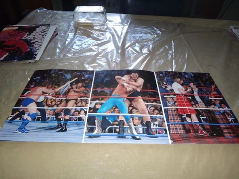 Andre the giant le geant ferre wrestling lot 15 photos pictures poster wwe wwf Cover