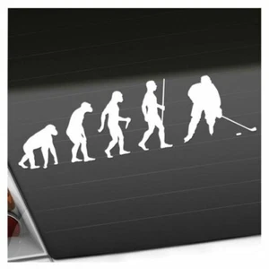Autocollant De Puck De Hockey Sur Glace Évolution 25 Couleurs Néon Mat - Imagen 1 de 33