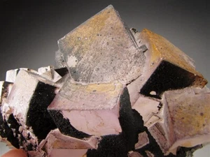 Fluorite Crystals, El Hammam Mine, Morocco - Picture 1 of 7