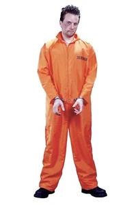 NIP Fun World Costumes Got Busted Prison Men's One Size Adult Halloween Cosplay  - Picture 1 of 9