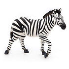 Papo männliches Zebra Tierfigur 50249 NEU AUF LAGER