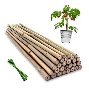 Plant Stakes,18 Inches Natural Garden Bamboo Sticks, 20Pcs Plant Support - Picture 1 of 7