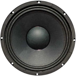 1 WOOFER MASTER AUDIO 250 MM 10 PA10/8 8 OHM CASSE ACUSTICHE CASA 600 WATT MAX - Foto 1 di 7