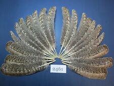 Turkey Wing Feathers,bulk feathers,20 pcs.feathers of style, real feathers(2461)