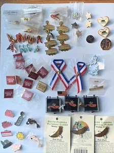 Anstecknadeln Lot/75 Bänder Zitate Jahre Dienst Koi Fisch Adler Flagge und mehr - Bild 1 von 19