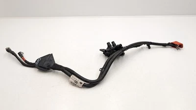 CABLE CABLEADO TERMINAL POSITIVO RANGE ROVER EVOQUE L551 L8D214N170CB 2021 Foto 1 de 4