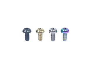 SwishTi Titanium Mountain Cyclocross Bicycle Disc Brake Rotor Bolts 12pcs Screws - Picture 1 of 33