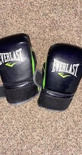 Everlast Boxing Gloves
