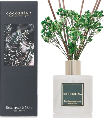 Eucalyptus & Moss Reed Diffuser Set for Home Fragrance & Decor - Image 1 of 4