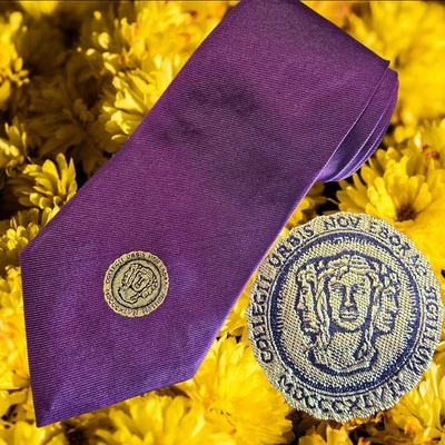 CORBATA DE SEDA DE LUJO MORADA MACIZA PRODUCCIÓN EXCLUSIVA RALPH LAUREN, NUEVA CON ETIQUETAS Foto 1 de 4