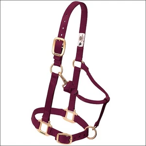 54WL Weaver Burgundy Horse Nylon Heat Sealed Buckle Halter Adjustable Small - Picture 1 of 1