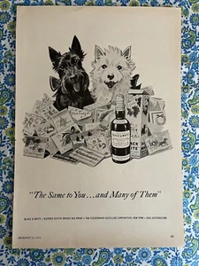 Pubblicità Vintage 1954 Stampa Scozzese Bianco e Nero Scottie Terrier Westie Dogs - Foto 1 di 7