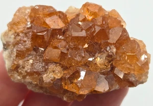 +++ GROSSULAR GARNET JEFFREY MINE, VAL-DES-SOURCES, QUEBEC, CANADA +++ - Picture 1 of 7