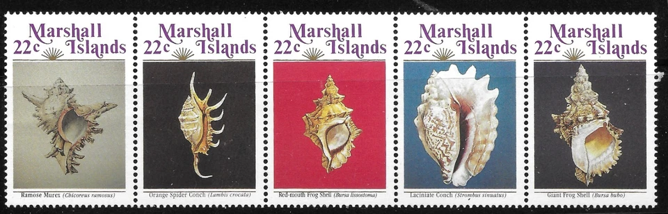 Marshall Islands # 123a, Sea Shells, STRIP OF 5  MNH OG VF - Image 1 of 1