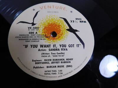 Sandra Feva – If You Want It, You Got It 1978 12" Single VD-5001 - Image 1 of 4