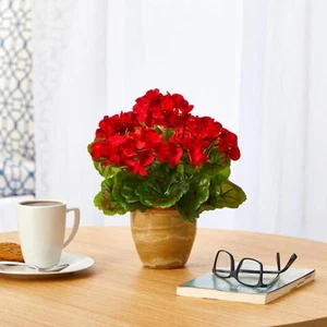 11in. Indoor/Outdoor UV Resistant Red Geranium Artificial Plant, Ceramic Planter - Picture 1 of 5
