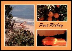 Vintage Port Richey Florida Beach & Sunset Postcard by Gulfstream Card Co. - Picture 1 of 2