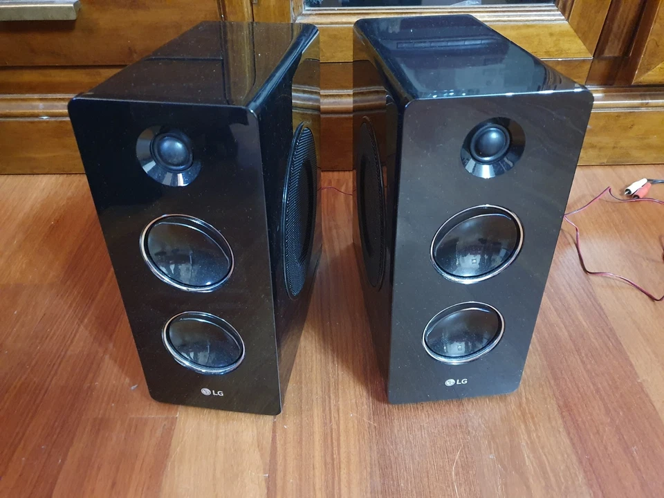 CASSE LG 80W RMS x 2 - Immagine 1 di 1