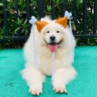 Orange Dog Headdress Felt Pet Headband Puppy Hair Decoration   Photograph