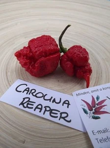Chile Carolina Reaper - Más de 10 semillas - ¡RÉCORD MUNDIAL! - Ch 001 - Imagen 1 de 2