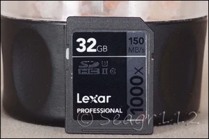 Carte mémoire Lexar 32 Go professionnelle 150 Mo/s 1000x SDXC U3 II - Bel état - Photo 1 sur 2