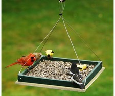 Songbird Essentials Hunter Driftwood Hanging Platform Bird Feeder Serublhpf105Hd