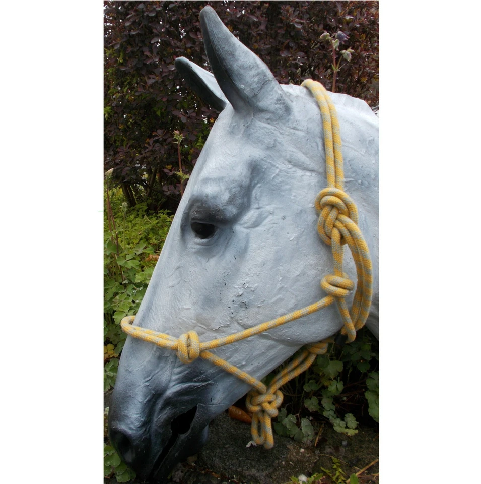 Knotenhalfter, Bodenarbeitshalfter, Knoten Halfter Bodenarbeit, Gr. Warmblut - Bild 1 von 1