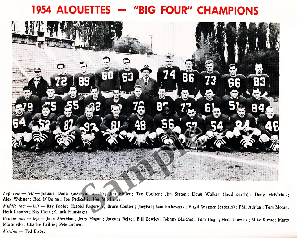 CFL 1954 Montreal Alouettes Black & White Team Picture 8 X 10 Photo Picture - Image 1 of 1
