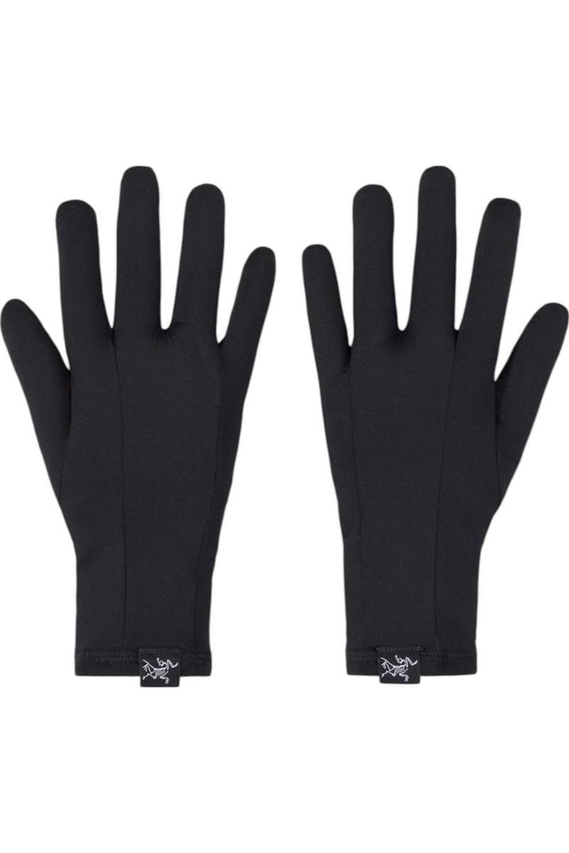 ARC'TERYX ALPHA SV GLOVE size:L 未使用 ARC'TERYX アークテリクス＞ ALPHA SV GLOVE アルファSVグローブ