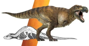 PNSO Dinosaur Museum 1/35 Size Tyrannosaurus T-REX Dinosaur Real Figure PVC Plas - Bild 1 von 9