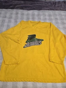 Camiseta Florida EVERBLADES HOCKEY Amarilla Nº 15 2XL - Imagen 1 de 5