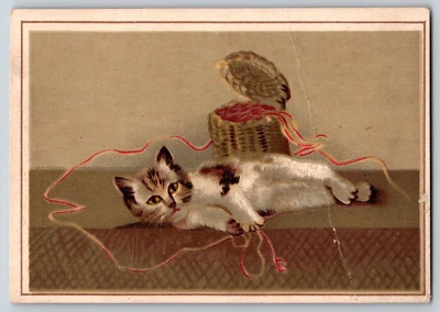 Белое глицериновое мыло Provost викторианская торговая карточка кошка лежит рядом с корзиной - Изображение 1 из 2