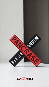  PANCRASE HYBRID WRESLING Logo Display Beena Studio - Bild 1 von 2