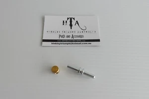 KIT DE VARILLA DE EMPUJE Y CASQUILLO CILINDRO MAESTRO EMBRAGUE TRIUMPH THUNDERBIRD 885 *VER NOTAS* - Imagen 1 de 3