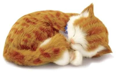 ORANGE TABBY - Il cucciolo che respira - PERFECT PETZZZ