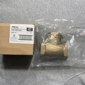 2-1/2-inch Swing Check Valve Brass IPS FIP x FIP 200 WOG 2-1/2” Lead Free Comp. - Picture 1 of 8