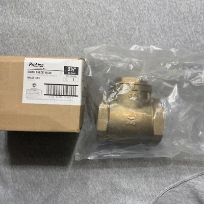 "Válvula de retención oscilante de latón IPS FIP x FIP 200 WOG 2-1/2"" Comp. sin plomo" Foto 1 de 4